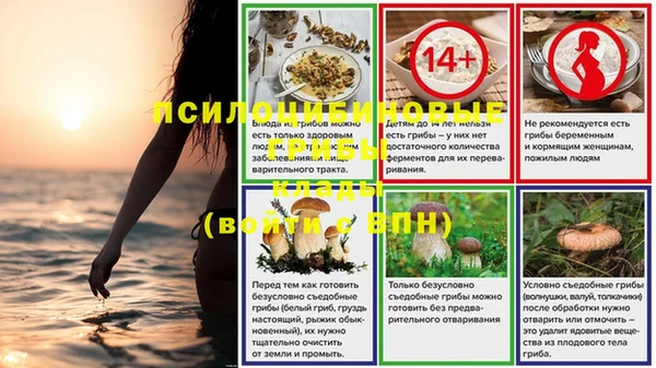 ешки Алексин