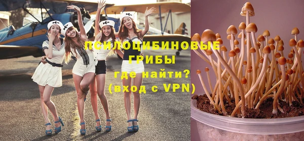 прущая мука Алзамай
