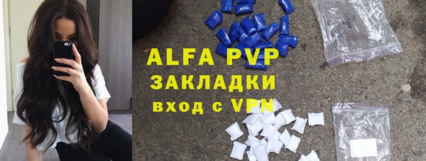 ешки Алексин
