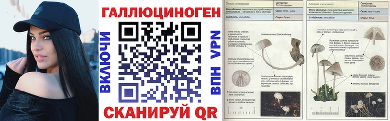 купить   дарк нет клад  Псилоцибиновые грибы мицелий  Амурск 